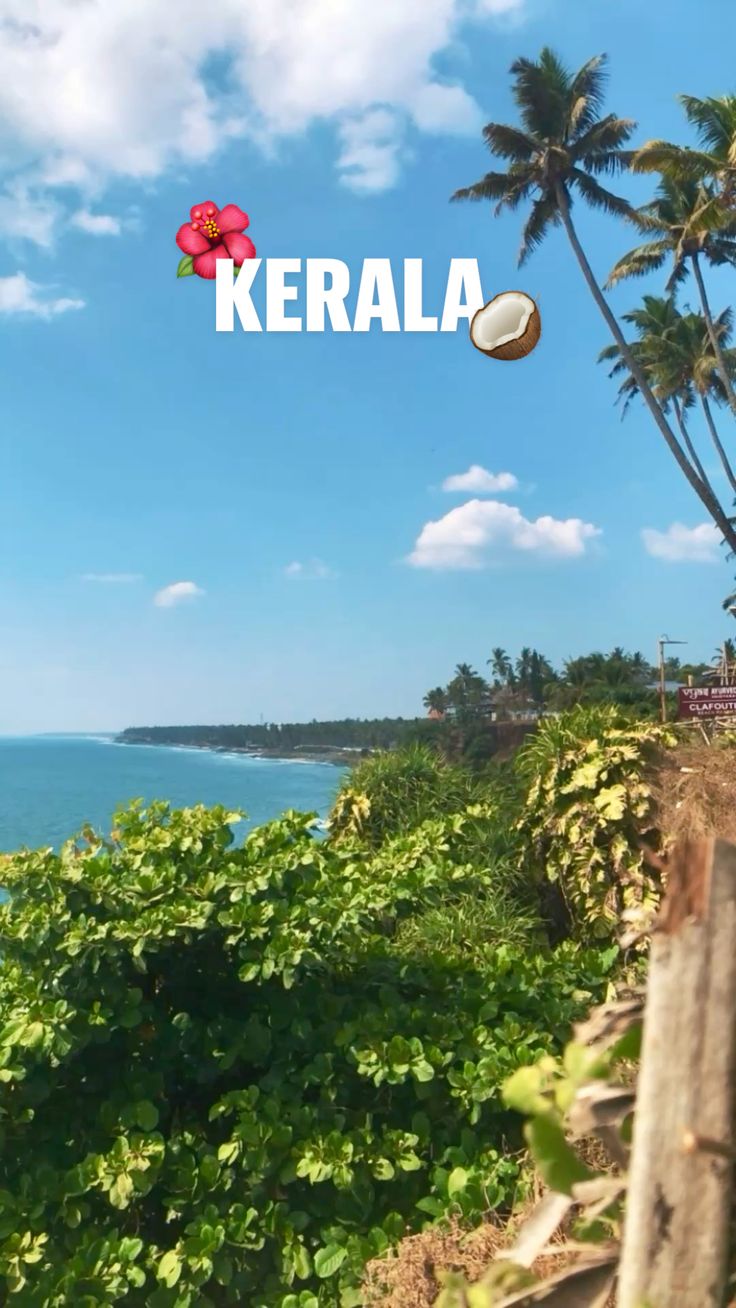Travalora Holidays KERALA Package - God's Own Country