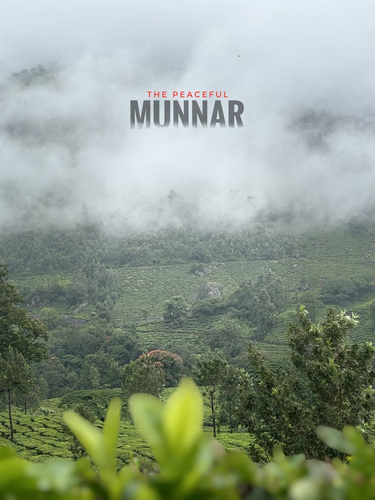 Travalora Holidays MUNNAR Package - Tea Garden Heaven